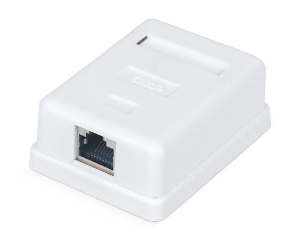 RC19 CS-8P8C-C5e-2 Розетка компьютерная RJ-45, категория 5e, двойная, внешняя, Dual IDC